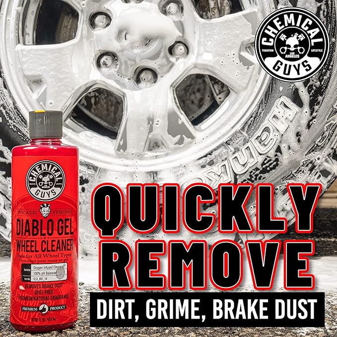 Chemical Guys HOL350 15-Piece Arsenal Builder Car Wash Kit with Foam Cannon, Storage/Carry Bag and (6) 16 oz Car Care Cleaning Chemicals (Works w/Pressure Washers)