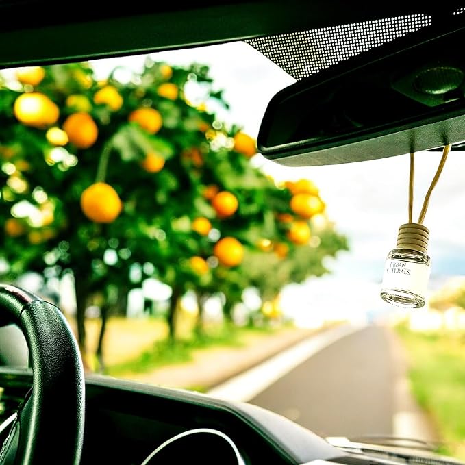 Urban Naturals Car Air Freshener Diffuser 1 Pack - Citrus Bliss Scent, 45+ Days Long Lasting Fragrance, Made in USA, Glass & Wood, Hanging Design + Vent Cip, Easy To Use