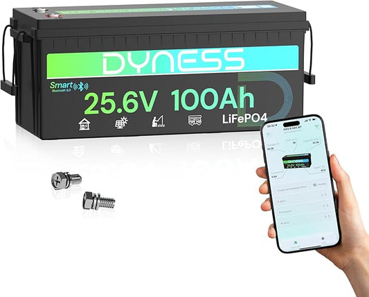 24V 100Ah LiFePO4 Lithium Battery with Bluetooth, Deep Cycle Rechargeable Battery with Low-Temp Protection, 2560W Max for Off-Grid Solar, RV, Camper, Trolling Motor, Home Use
