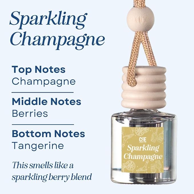 CANDECraftCo Car Air Hanging Fragrance Oil, Car Auto Freshener for Essential Oils, Scents Fragrance Aromatherapy Automobile Diffuser, Long Lasting (Sparkling Champagne)