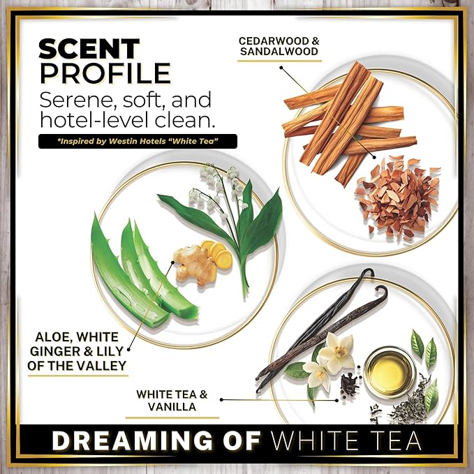 Urban Naturals Car Air Freshener Diffuser Dreaming of White Tea Scent, Hotel Scents Collection, Strong Long Lasting Aroma Made in USA, Hanging Oil Diffuser + Vent Cip Car Accessories (1 Pack)