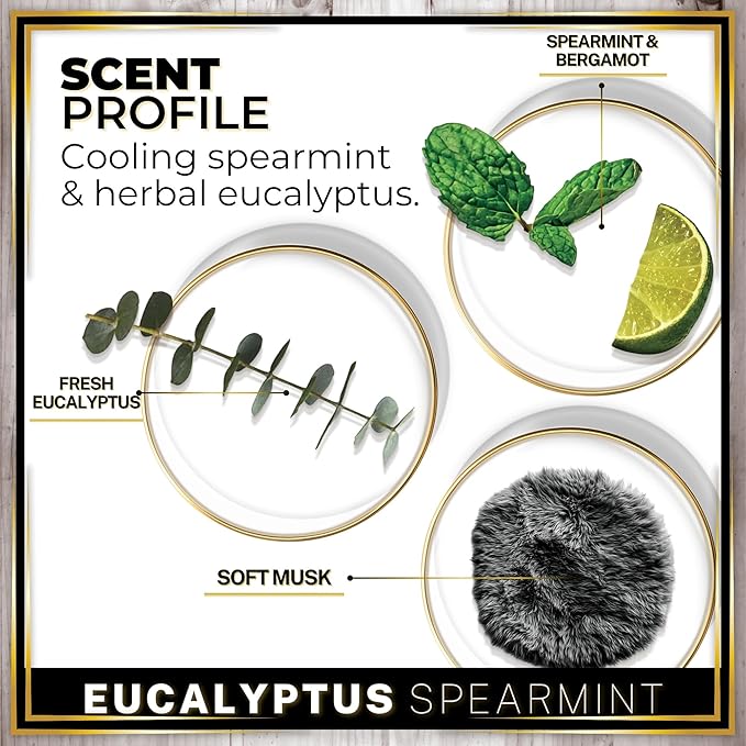 Urban Naturals Car Air Freshener Diffuser 1 Pack - Eucalyptus Spearmint Scent, 45+ Days Long Lasting Fragrance, Made in USA, Glass & Wood, Hanging Design + Vent Cip, Easy to Use