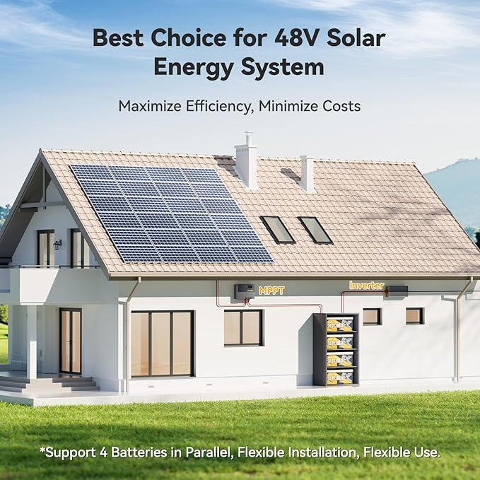 Power Queen LiFePO4 Battery 48V 100Ah Lithium Golf Cart Battery, Lithium Battery with Bluetooth 5.0, Built-in 200A Smart BMS with Low-temp Protection for 5kW Motor Golf Carts Club Car DS E-Z-Go TXT